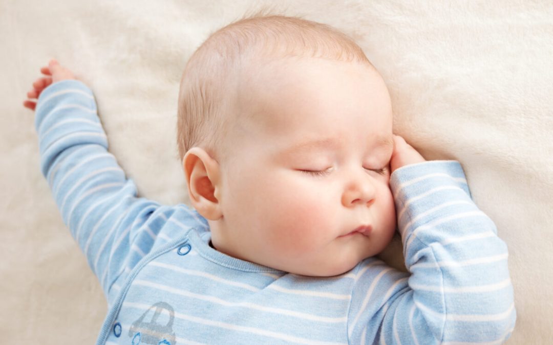 Please NO Feed, Wake, Sleep Schedules