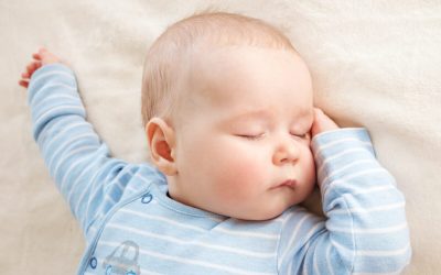 Please NO Feed, Wake, Sleep Schedules